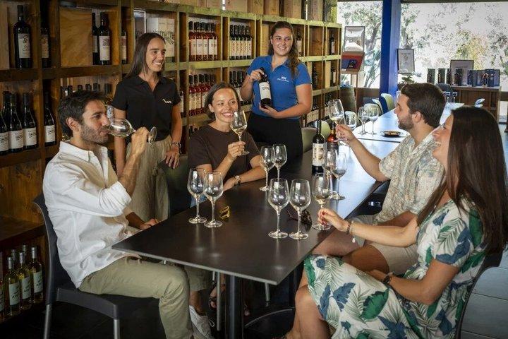 Wine Tour from Lisbon to Setúbal and Arrábida