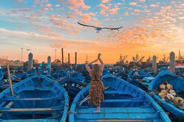 Fra Marrakech: 1-dages grupperejse til Essaouira