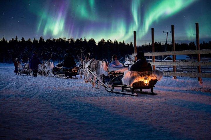 Rovaniemi Northern Lights Rendierensleetocht 3,5 KM
