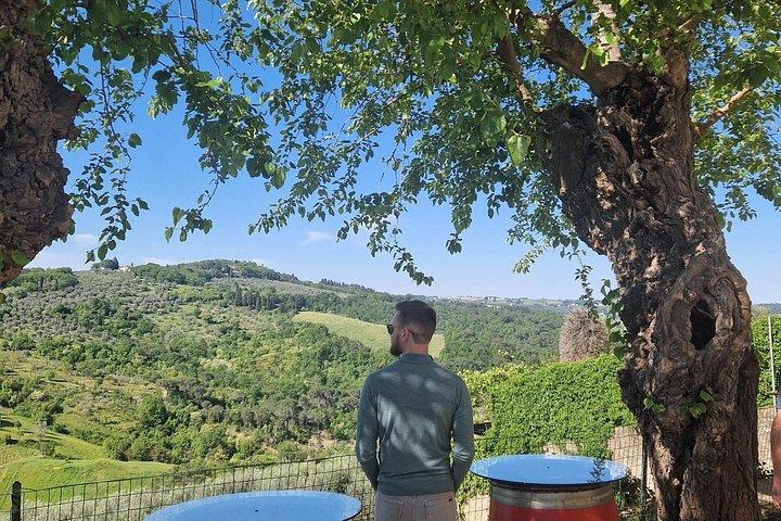 In Chianti Supertuscan Experience: Top 10% Tripadvisor Excellence