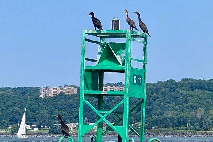 Guided Zodiac Tour Under the Iconic Bridges