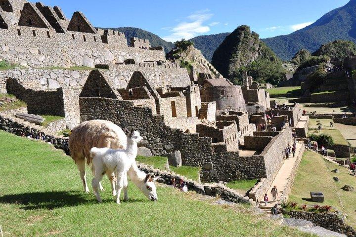 7Day Sacred Valley Machu Pichu Rainbow Mountain Humantay Lake