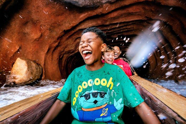 カリフォルニア州のディズニーランド・リゾート・アナハイムのチケット