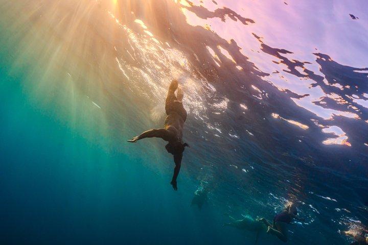 Twilight Wine Tasting by Sea and Sunset Cruise in Honolulu