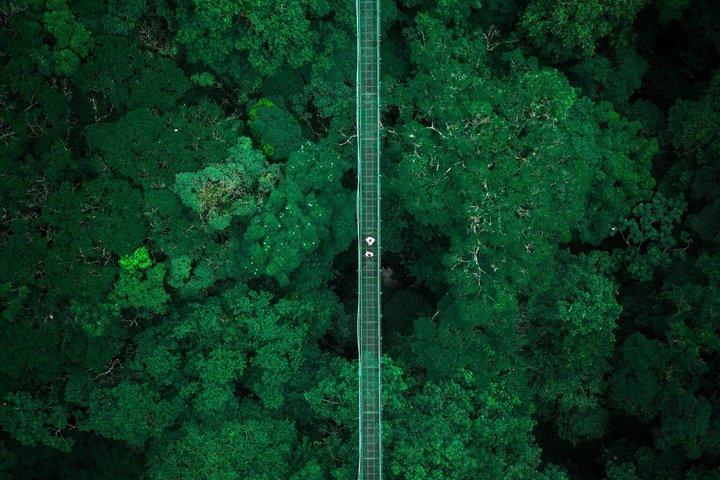 4 i 1 Monteverde Cloud Forest Privat kombineret tur