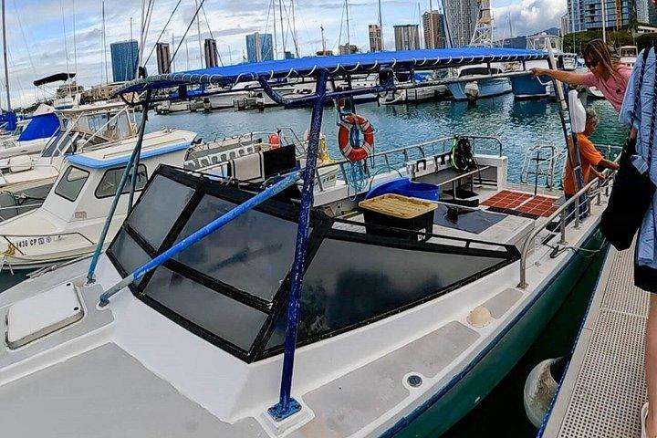 【午後】日本語で安心！パラダイスホヌシュノーケリング 思い出の水中写真データプレゼント‼
