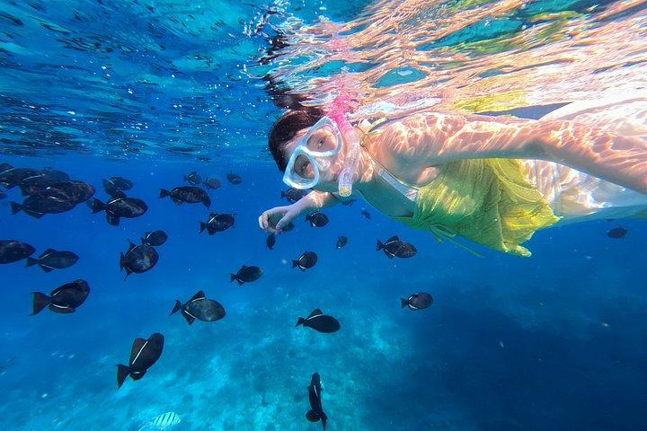 【午後】日本語で安心！パラダイスホヌシュノーケリング 思い出の水中写真データプレゼント‼
