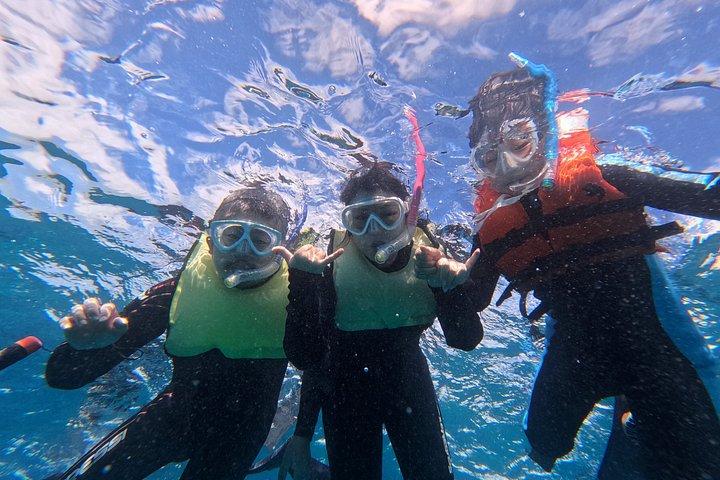 【午後】日本語で安心！パラダイスホヌシュノーケリング 思い出の水中写真データプレゼント‼
