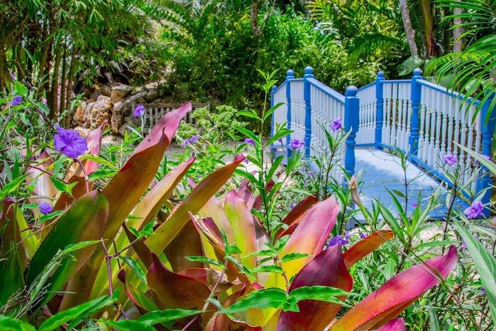 Giardini botanici e Pedro St James a Grand Cayman