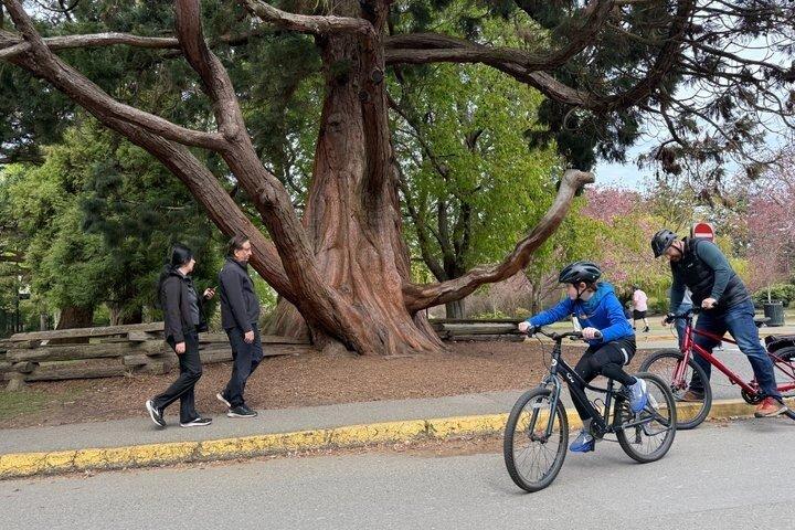 Entdecken Sie Victoria Scenic Paths mit einem Fahrradverleih vom Kreuzfahrthafen