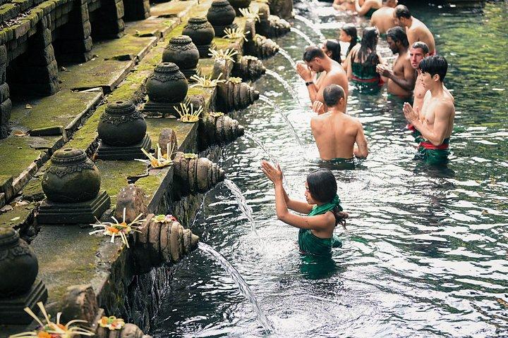 ウブド日帰り旅行:水上朝食、棚田、寺院、春