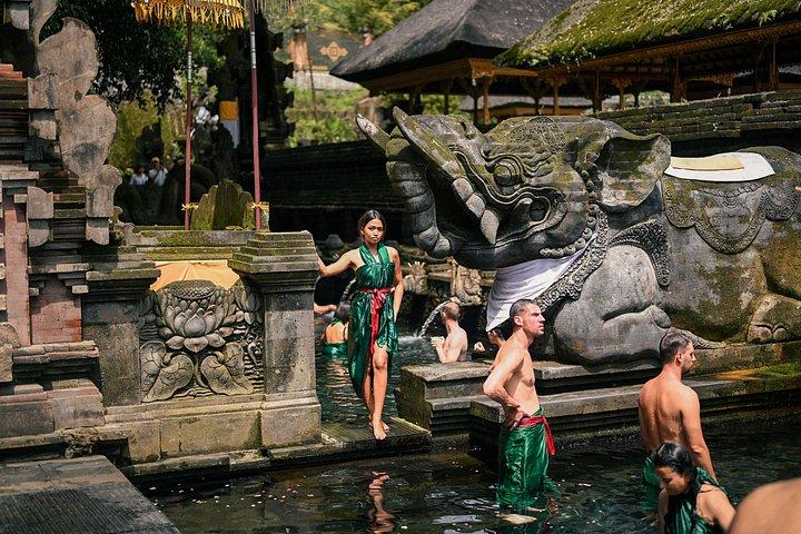ウブド日帰り旅行:水上朝食、棚田、寺院、春