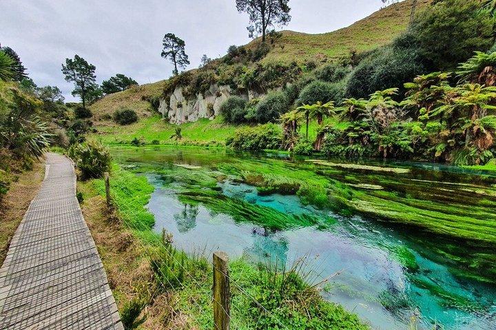 Tour de un día de Auckland a Waitomo Glowworms, Kiwi House y Blue Springs
