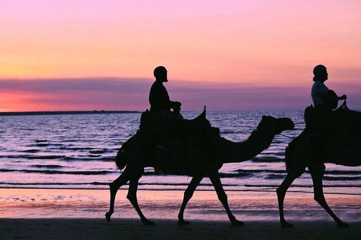 Darwin Sunset Camel Ride em Mindil Beach