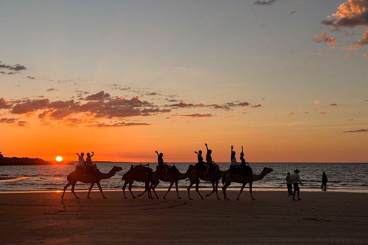 Darwin Sunset Camel Promenade à Mindil Beach