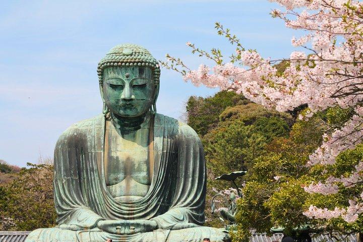 Kamakura & Enoshima Private halbtägige Wanderung mit Jeremy