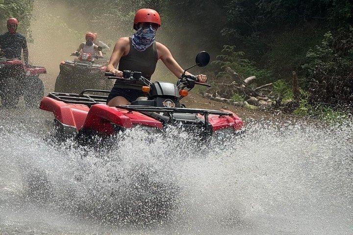 Hoteller i nærheden af Beach & Mountain ATV Tour & Animal Sanctuary