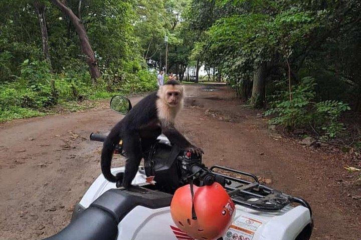 Beach & Mountain ATV Tour & Animal Sanctuary