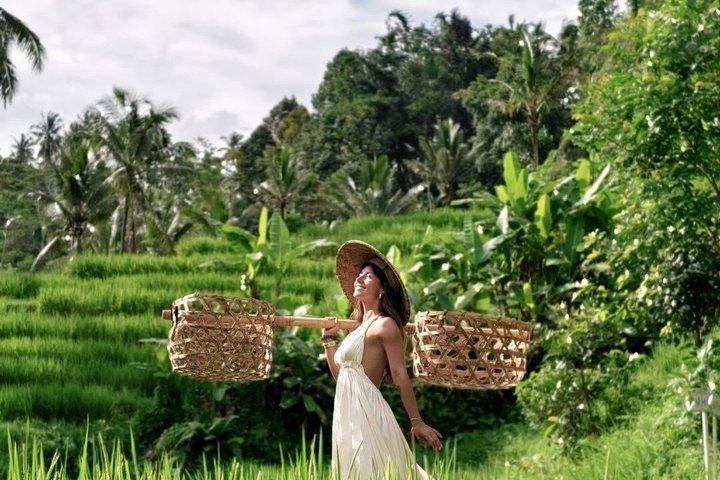 Ubud: Zipline, Sky Bike, og 4 spot sving i privat ris terrasse