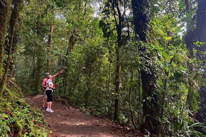 4 in 1 Sloth Encounter, Rio Celeste, Waterfalls, Rainforest tour