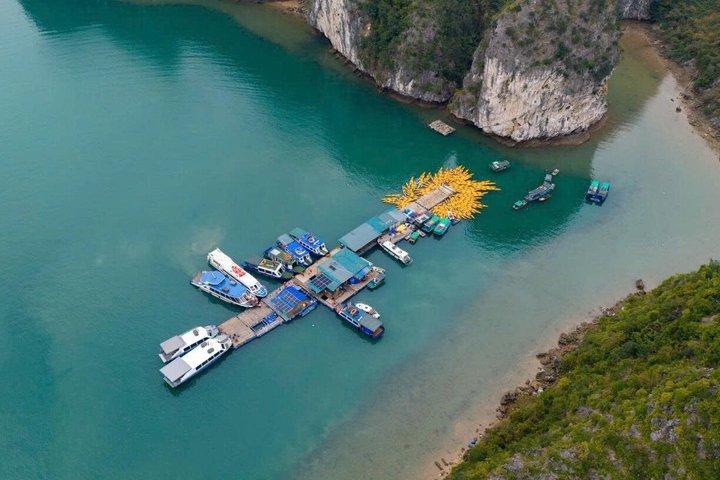 Celina Indochine Voyage : Entdecken Sie Lan Ha Bay 3D2N