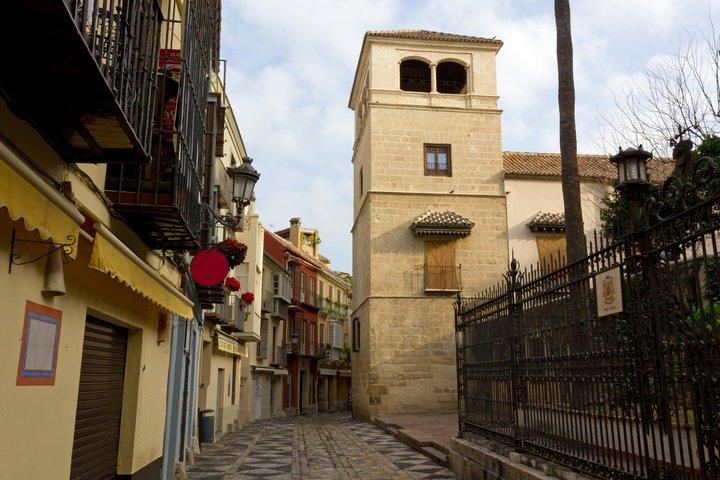 Ontdek Museo Picasso Malaga tijdens een begeleide wandeltocht