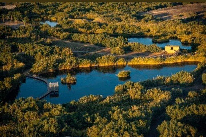 Excursión Privada de los Castillos del Desierto del Este de Jordania desde Amman con Opcional Azraq