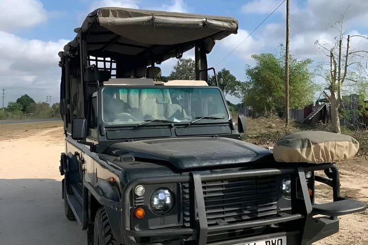 Safari animalier Mikumi et Game Drive avec déjeuner de Dar es salaam