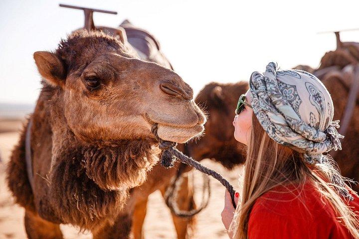 Sharm El Sheikh : 朝のATVクワッドバイクサファリからエコーマウンテンズへ