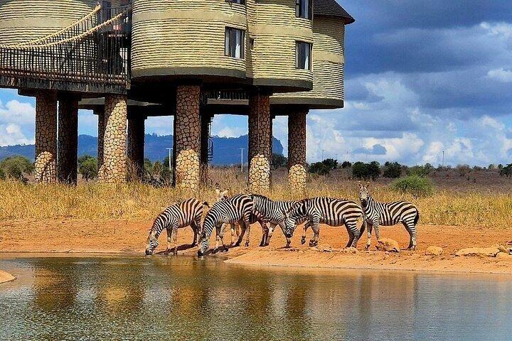 Safari nella natura di 4 giorni ad Amboseli e Tsavo