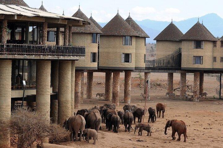 Safari nella natura di 4 giorni ad Amboseli e Tsavo