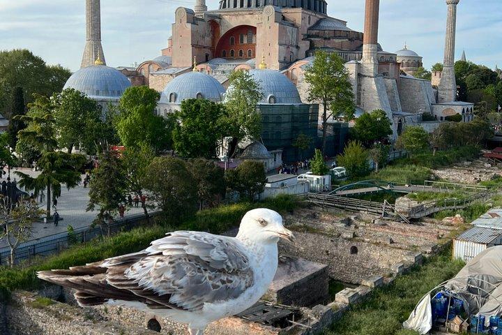 Cultural Highlights of Istanbul
