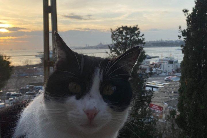 Cultural Highlights of Istanbul