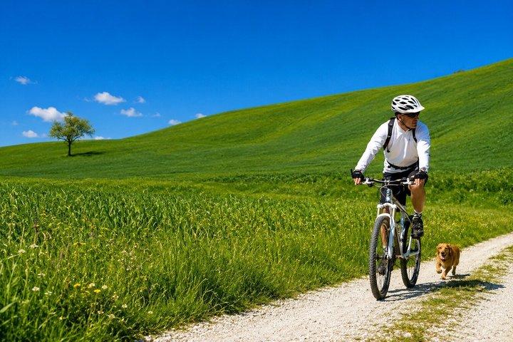 Siena : tour guidato in e-bike del Chianti con pranzo e 2 degustazioni di vini