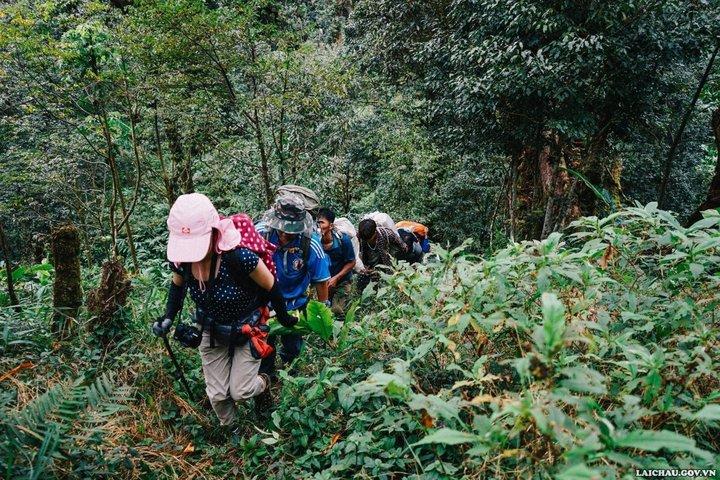 Cuc Phuong Nationaal Park Trekking Tour met Expert Gids