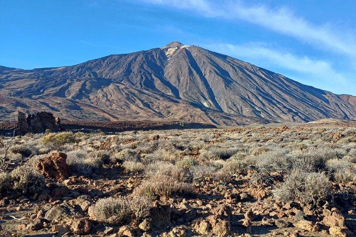 Teide Nationalpark Tour mit dem Minibus