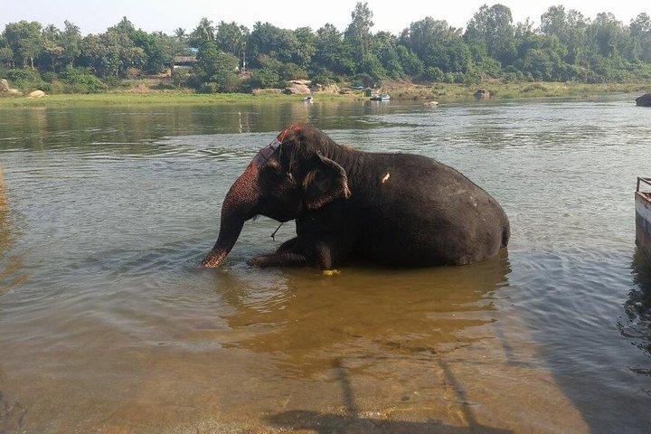 Hampi Exploração de 2 Dias: Templos, Ruínas e Vistas Paisagísticas da UNESCO
