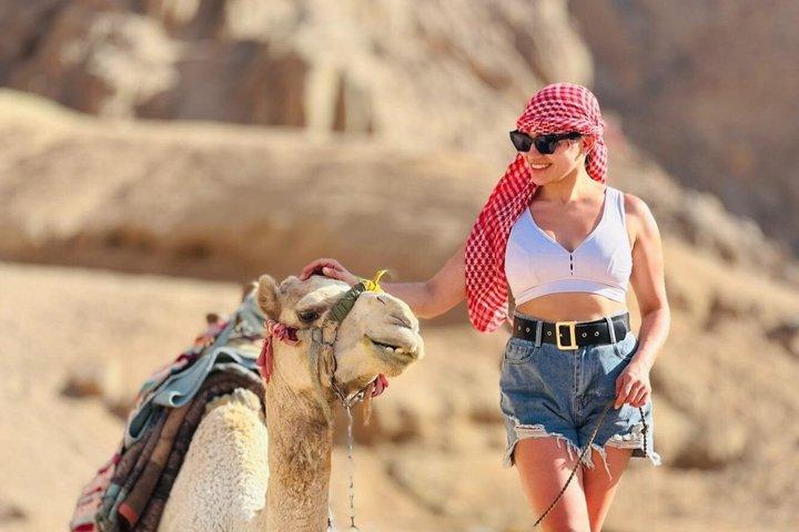 VIP Super Desert Safari Tour i Hurghada | Quad Bike, Jeep & BBQ