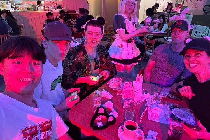まいどりーみん秋葉原散策ツアーの詳細を見る