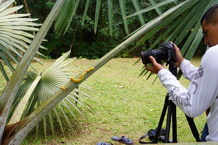 4 in 1 Sloth Encounter, Rio Celeste, Waterfalls, Rainforest tour