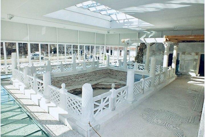プロヴディフ発：ペルペリコン、ヴィラ・アルミラ、岩茸ツアー