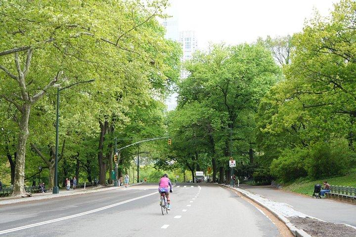 セントラルパークペディキャブツアー（プロの写真付き）