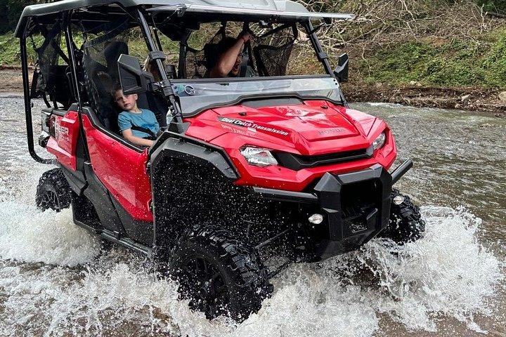 Beach-mountain & Sloth Refuge Buggy Tour