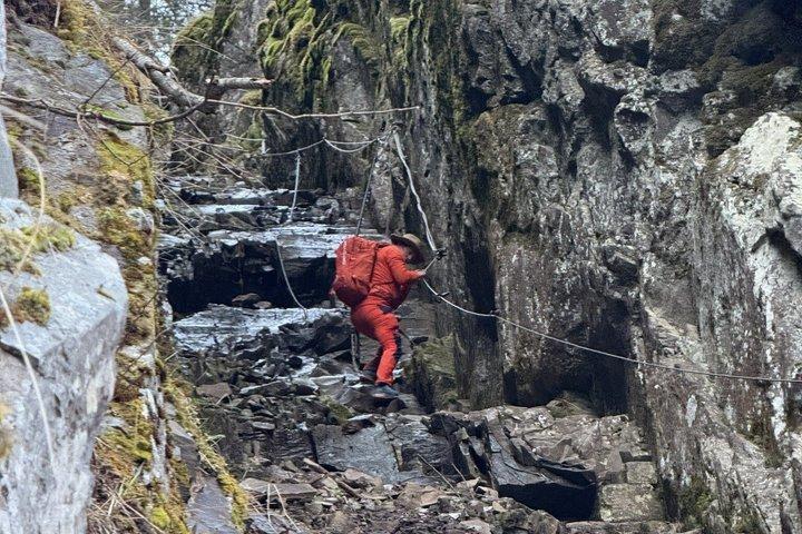 Guided Hike Discover Oslo Scenic Forests