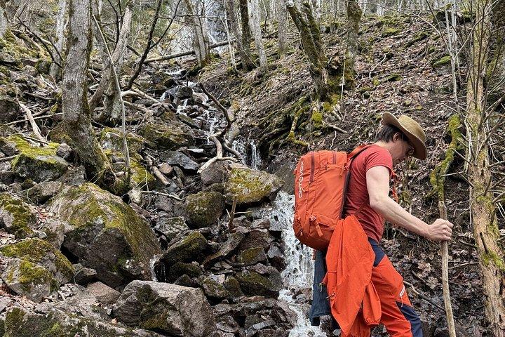 Guided Hike Discover Oslo Scenic Forests
