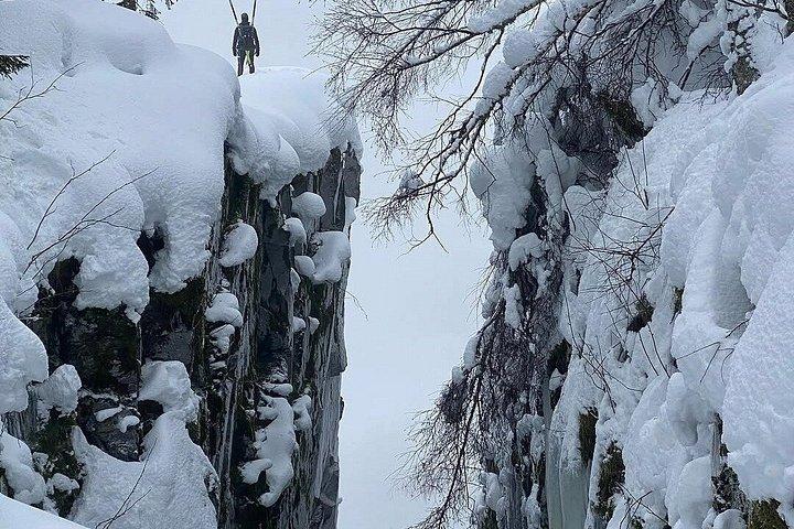 Guided Hike Discover Oslo Scenic Forests