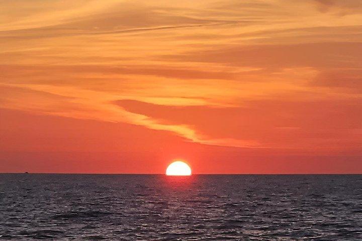 Escursioni con i delfini , tour al tramonto e tour di snorkeling e conchiglie
