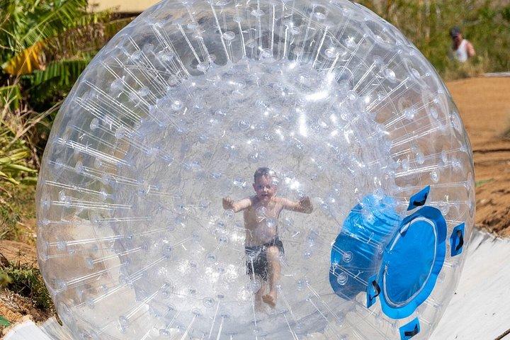 Aquaball Adventure and Dragon Fruit Tasting in Maui