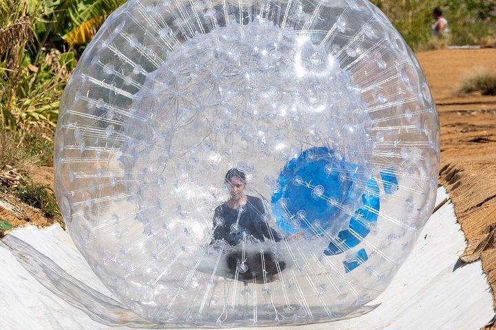 マウイ島でのアクアボールアドベンチャーとドラゴンフルーツテイスティング