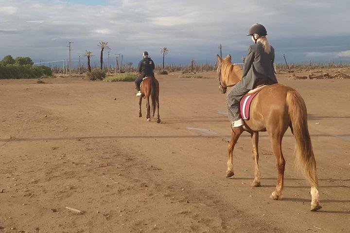 Ridtur i Marrakech Palmeraie med Mintte